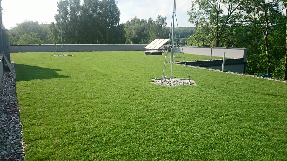 Zieliny dach w systemie Diadem - Katowice Ligota