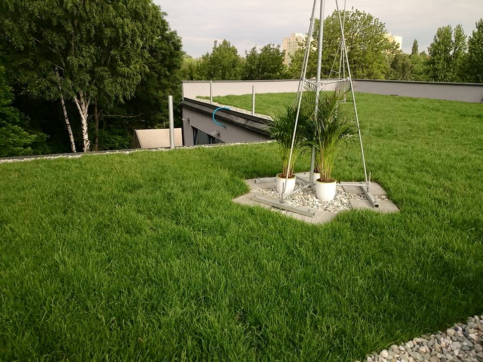 Zielony dach w systemie Diadem Katowice Ligota